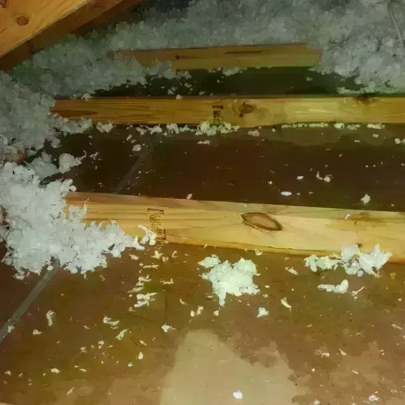 Best Attic Water Damage Service in Pocola, OK