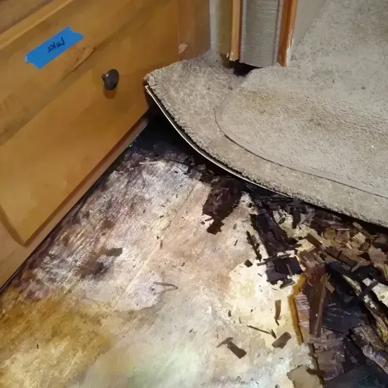 Wood Floor Water Damage in Pocola, OK